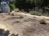 131 - 20150901 New Low Water Plants Setup