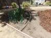 135 - 20150901 New Low Water Plants Setup