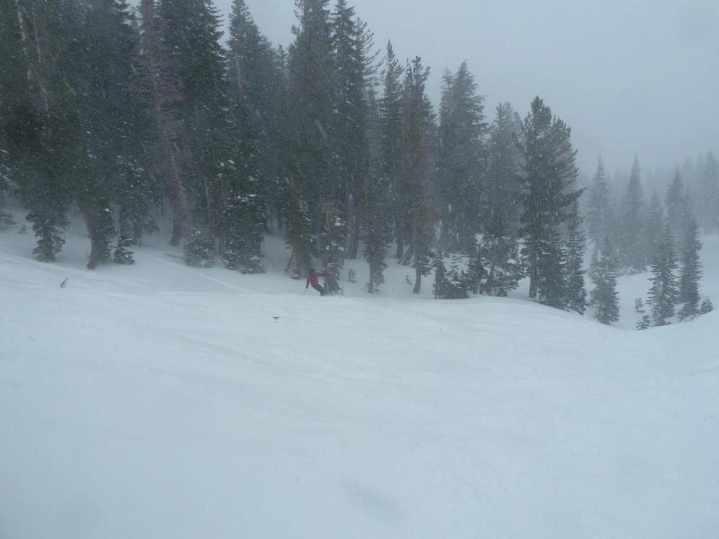 408 - Day3 Kirkwood