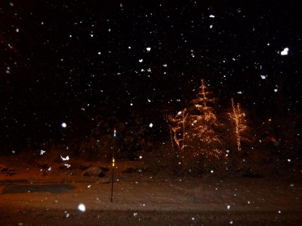 104 - Day0 Alpine Meadows-Northstar