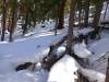 165 - 20130314 Silverton Day1