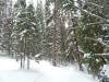 270 - Day2 Snowmass
