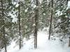 271 - Day2 Snowmass