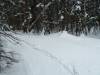 273 - Day2 Snowmass
