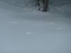 428 - Day4 Snowmass