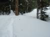430 - Day4 Snowmass