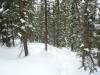 431 - Day4 Snowmass