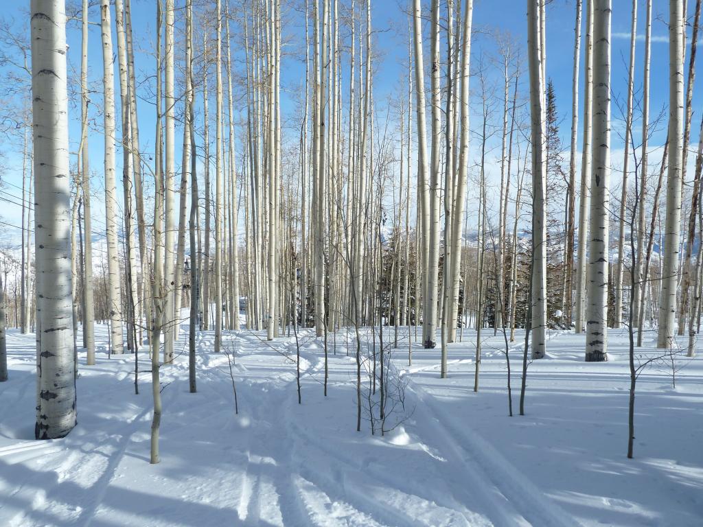 222 - Day2 Snowmass