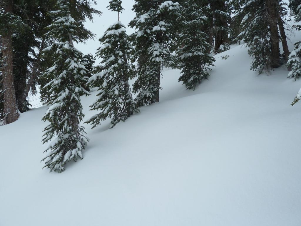 102 - 20140326 Kirkwood Heavenly Day1