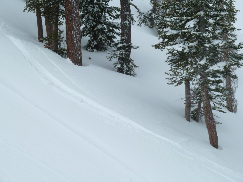 106 - 20140326 Kirkwood Heavenly Day1