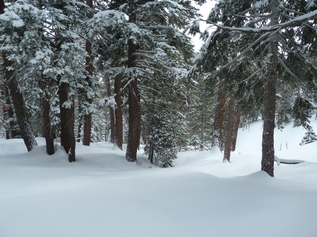 111 - 20140326 Kirkwood Heavenly Day1