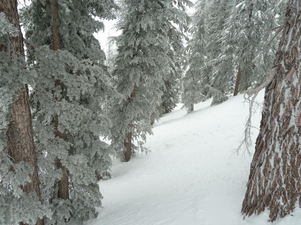 201 - 20140326 Kirkwood Heavenly Day2