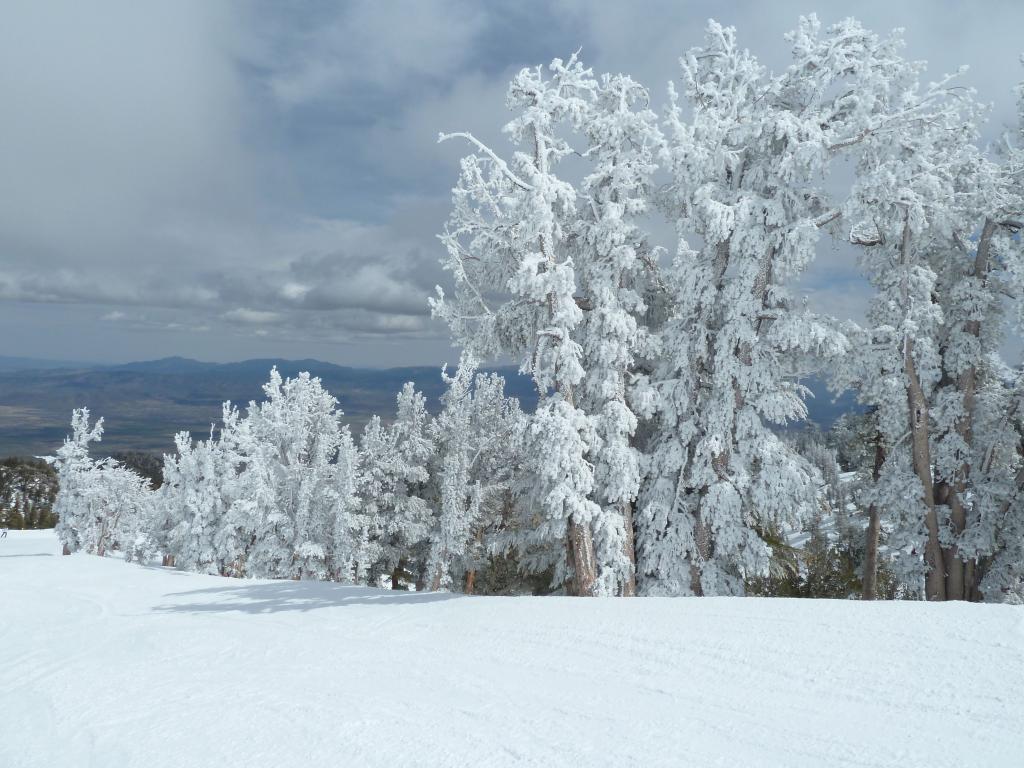 340 - 20140326 Kirkwood Heavenly Day3