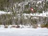 238 - 20150306 Breck