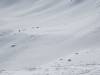 438 - 20150308 Snowmass