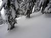 108 - 20160106 Kirkwood Day1