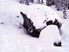 248 - 20160118 Whistler Day1