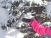 265 - 20160118 Whistler Day1