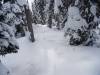 288 - 20160118 Whistler Day1