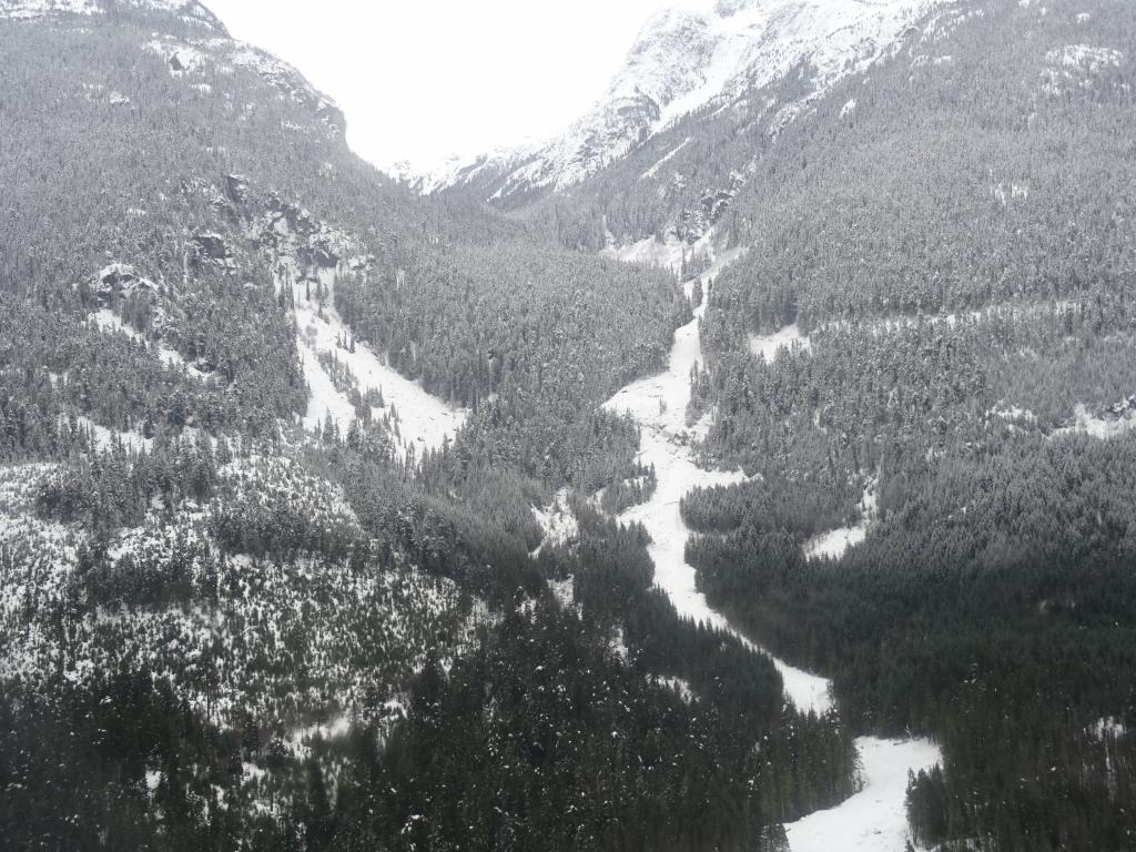 123 - 20160120 Whistler Heli Skiing