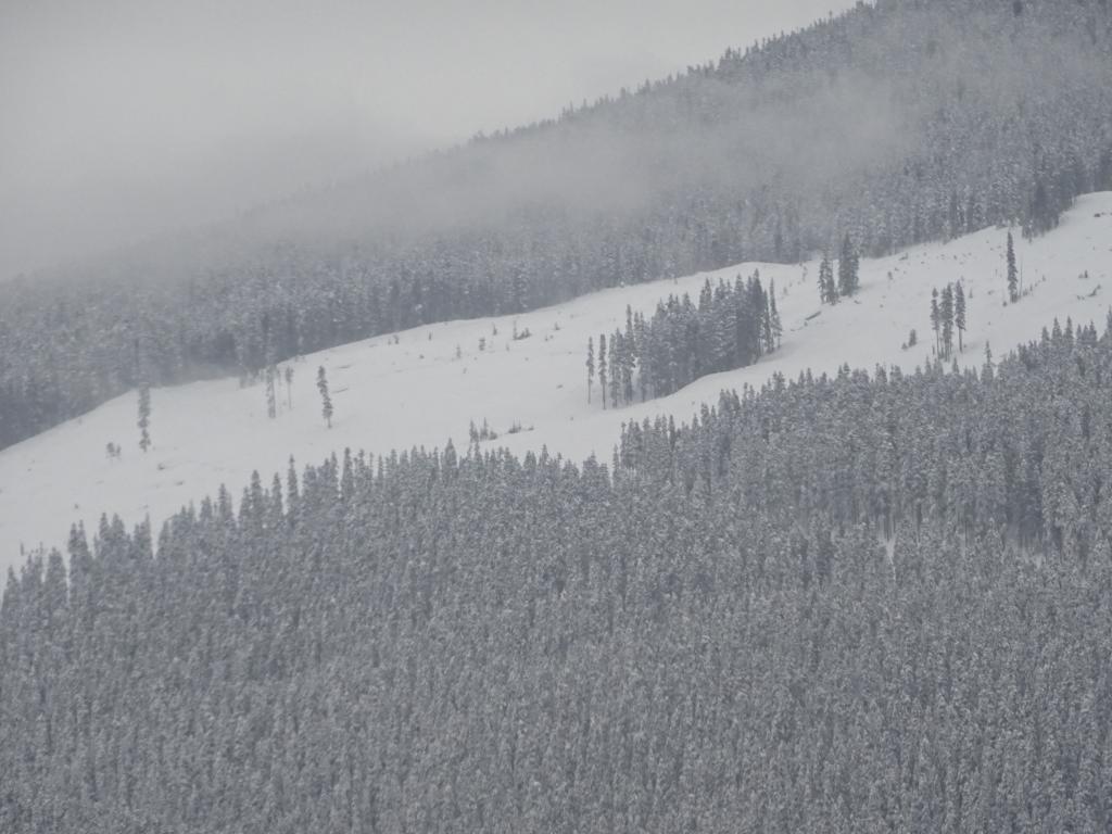 132 - 20160120 Whistler Heli Skiing