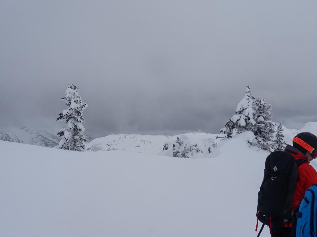 146 - 20160120 Whistler Heli Skiing