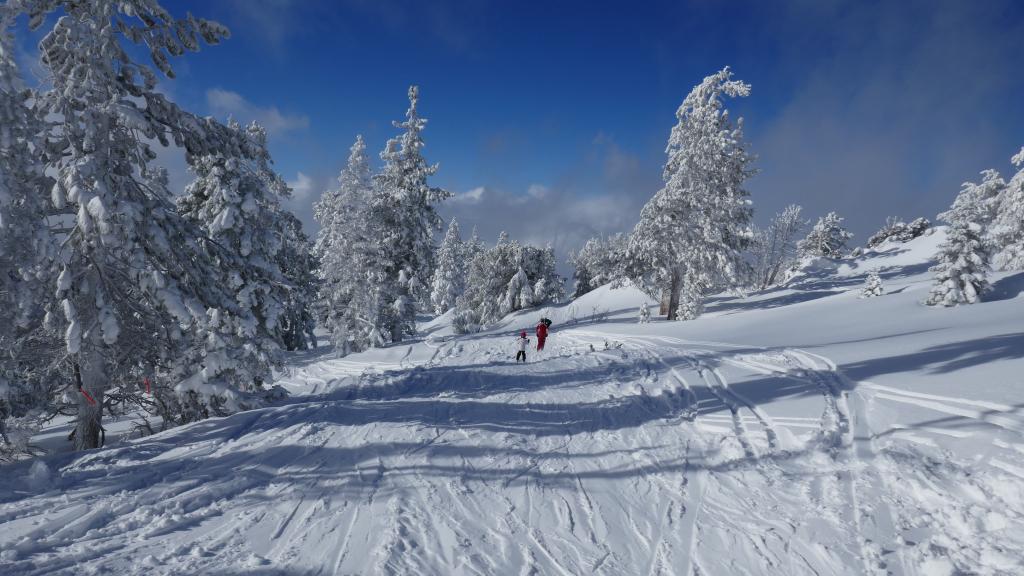 107 - 20170105 Heavenly Day1