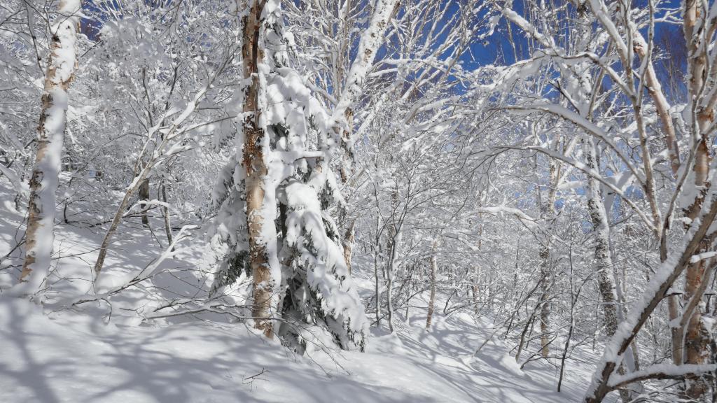 109 - 20170201 Shiga-Kogen Day1