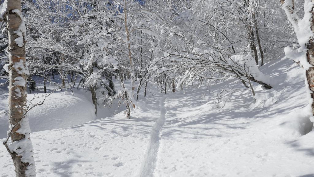 110 - 20170201 Shiga-Kogen Day1