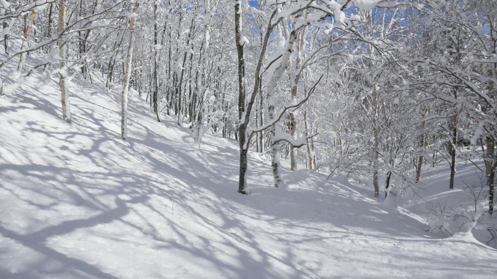 111 - 20170201 Shiga-Kogen Day1