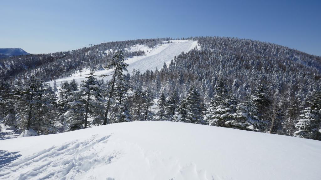 113 - 20170201 Shiga-Kogen Day1