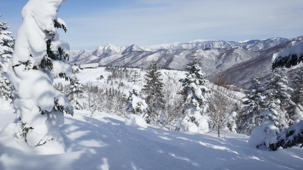 117 - 20170201 Shiga-Kogen Day1