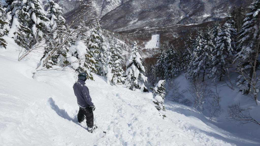 118 - 20170201 Shiga-Kogen Day1