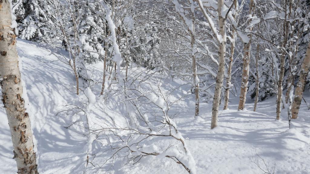 120 - 20170201 Shiga-Kogen Day1