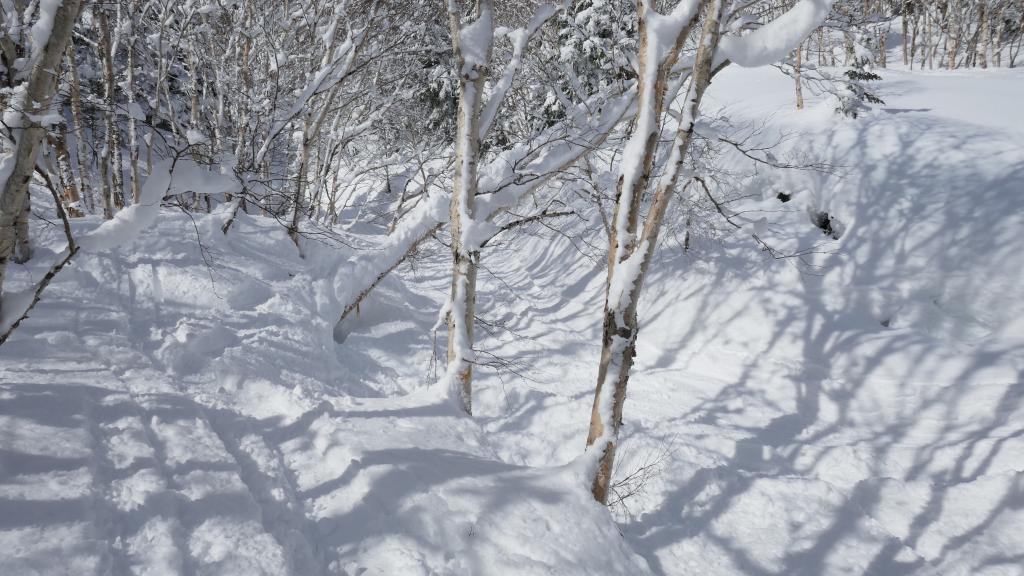 121 - 20170201 Shiga-Kogen Day1