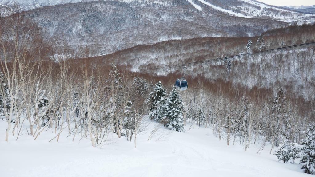 137 - 20170201 Shiga-Kogen Day1