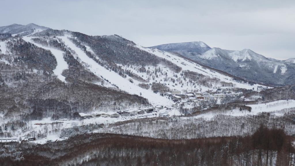 146 - 20170201 Shiga-Kogen Day1