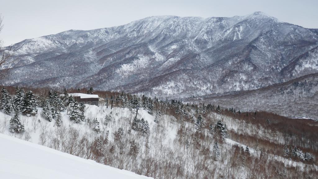 147 - 20170201 Shiga-Kogen Day1