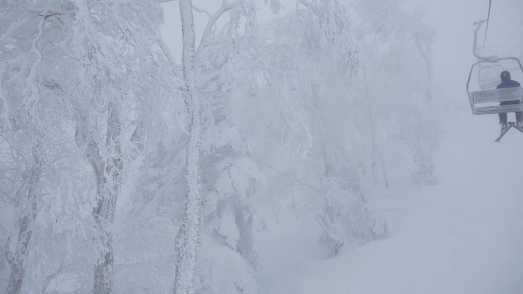 207 - 20170202 Shiga-Kogen Day2