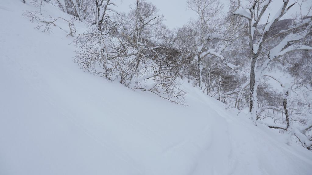 116 - 20170204 Niseko Day1 Annupuri