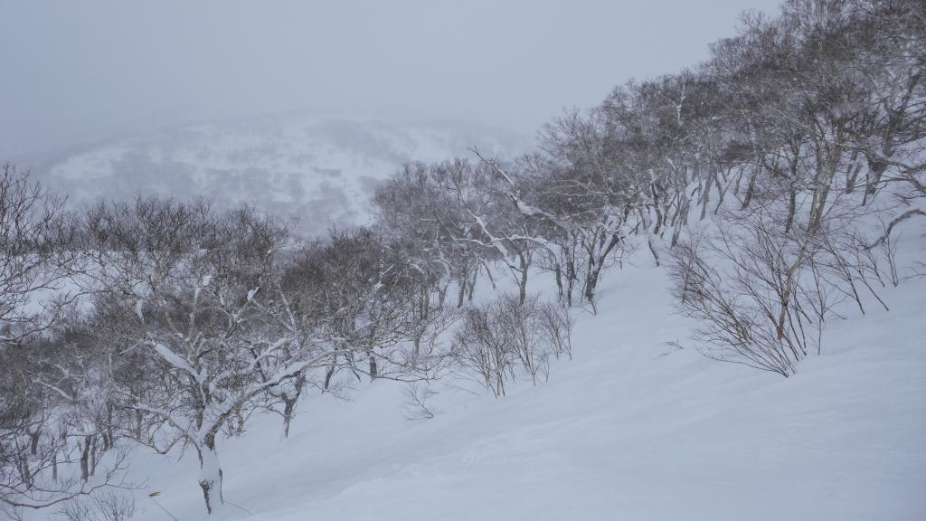 303 - 20170206 Niseko Day3