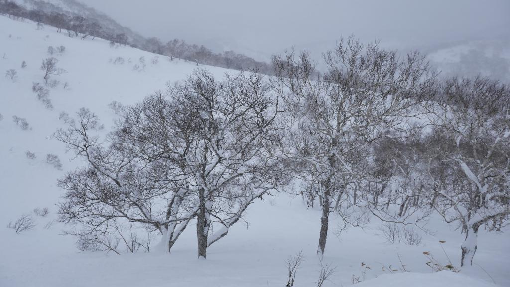 304 - 20170206 Niseko Day3