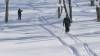 117 - 20170205 Kyogoku Cat Skiing