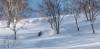 201 - 20170205 Kyogoku Cat Skiing NisekoPhotography