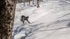 212 - 20170205 Kyogoku Cat Skiing NisekoPhotography