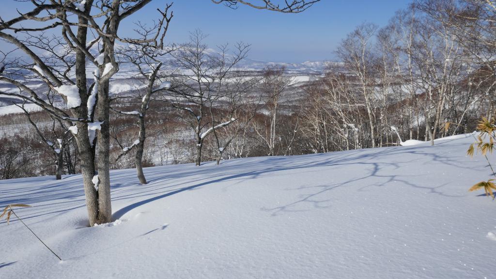 108 - 20170205 Kyogoku Cat Skiing