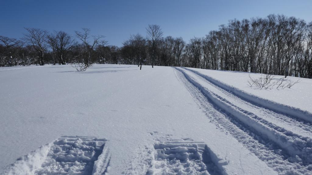 137 - 20170205 Kyogoku Cat Skiing