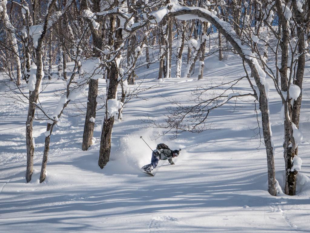 204 - 20170205 Kyogoku Cat Skiing NisekoPhotography