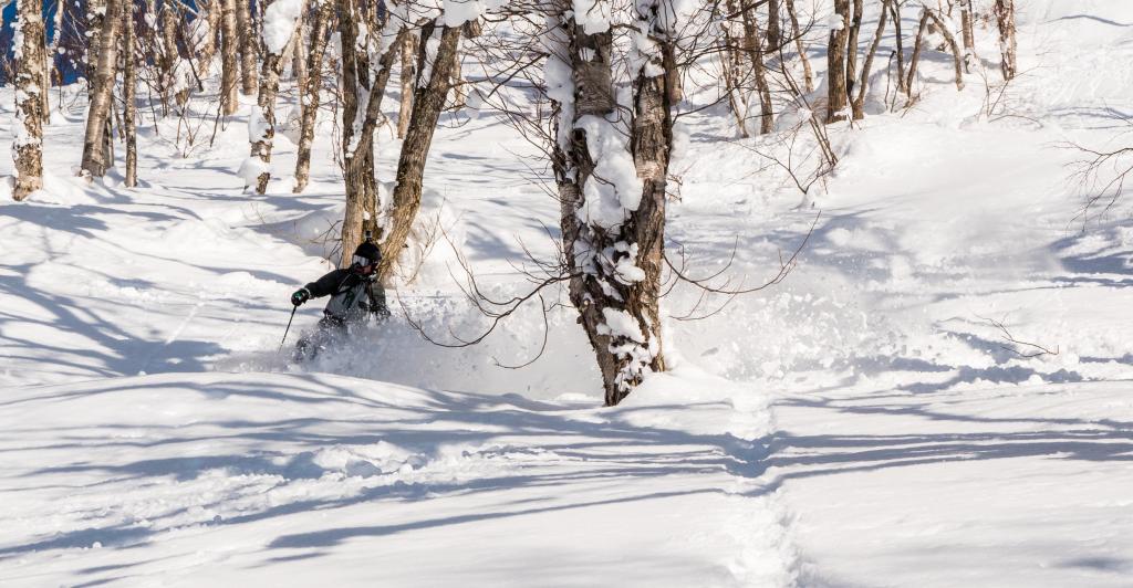 208 - 20170205 Kyogoku Cat Skiing NisekoPhotography