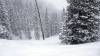 117 - 20170228 Aspen Snowmass